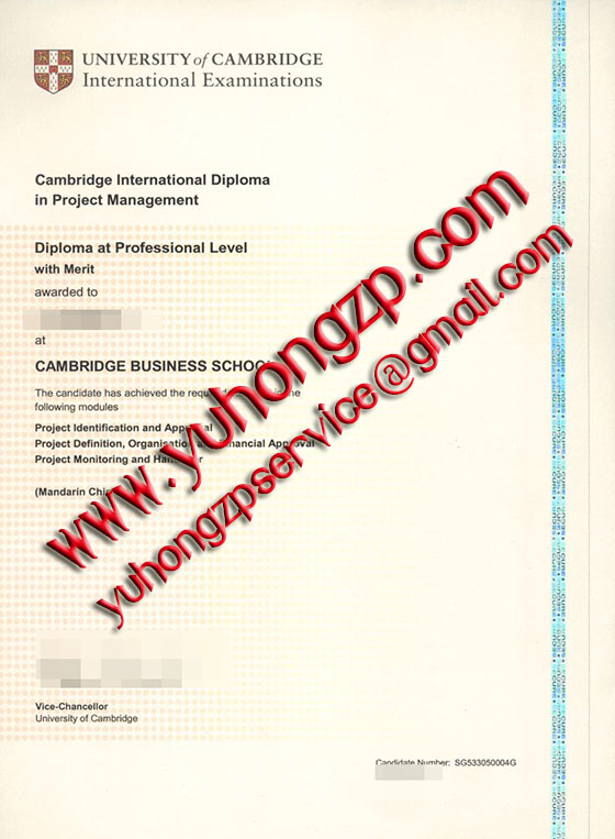 Cambridge International examinations degree 