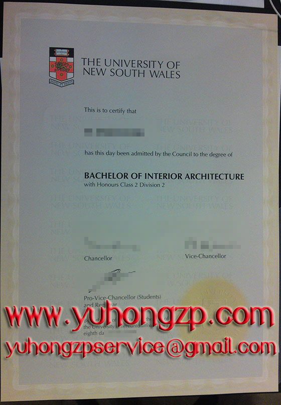 UNSW degree