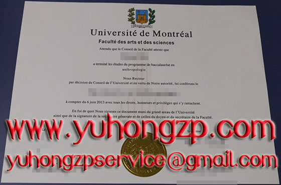 Université de Montréal degree