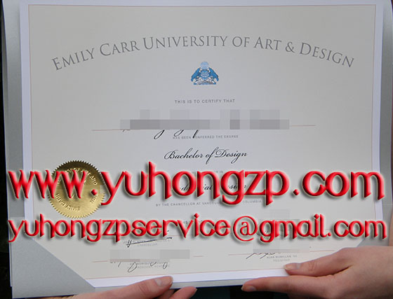 Emily Carr University of Art & Design degree