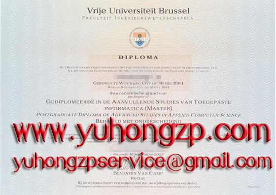 Free University of Brussels degree