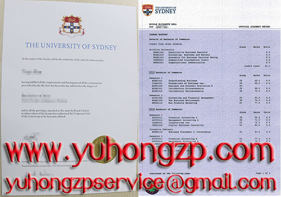 University of Sydney degree and transcript