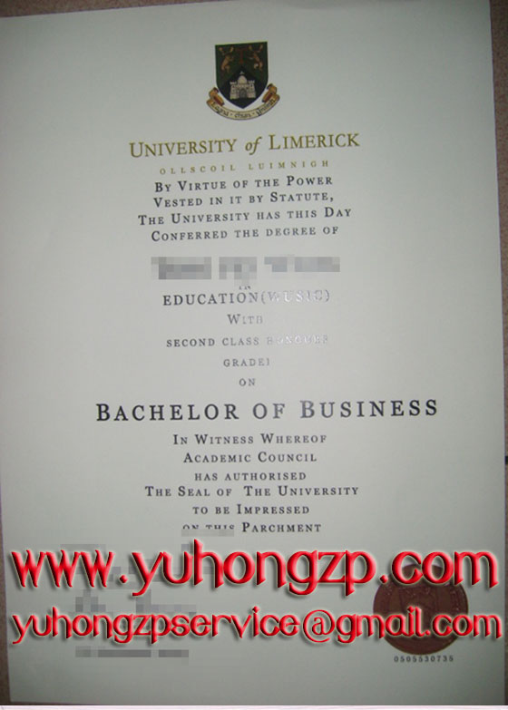 University of Limerick degree