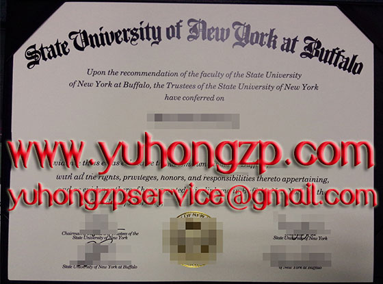 New York State University at Buffalo degree