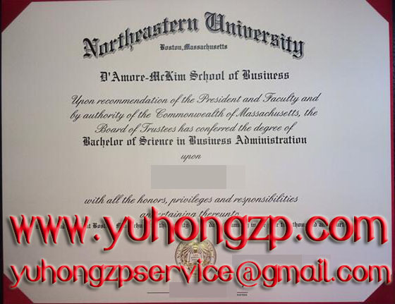 Northeastern University degree