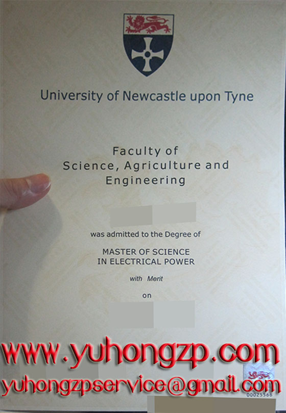 Newcastle University degree