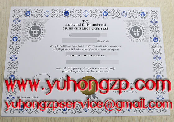 Kocaeli üniversity degree