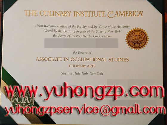 Culinary Institute of America degree