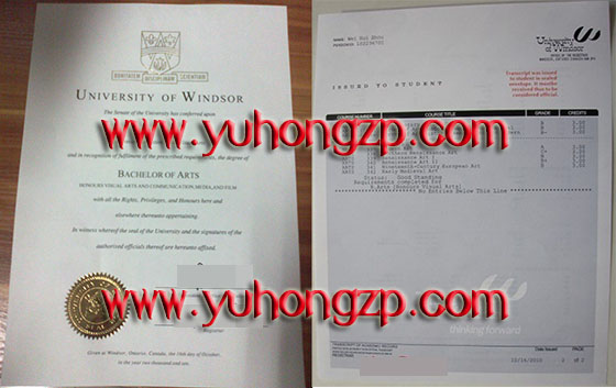 University of Windsor degree and transcript