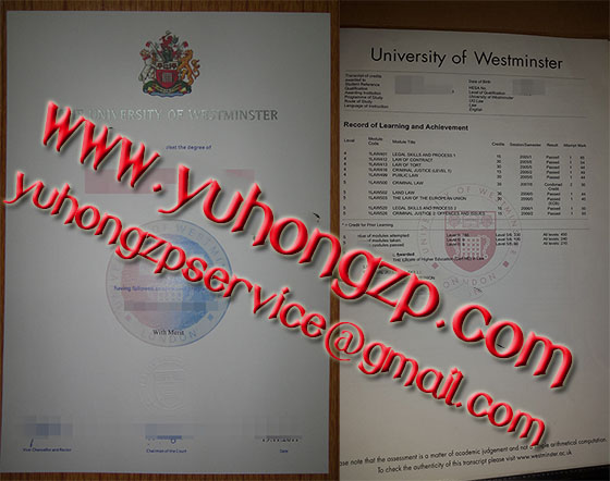 University of Westminster degree and transcript