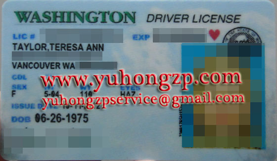 Washington driver license 