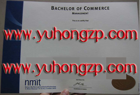 nmit degree 