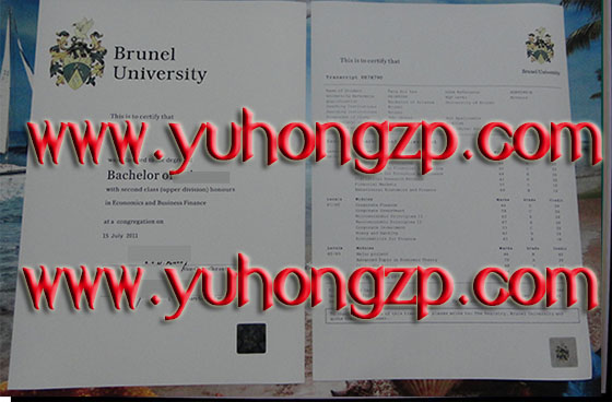 Brunel University degree and transcript