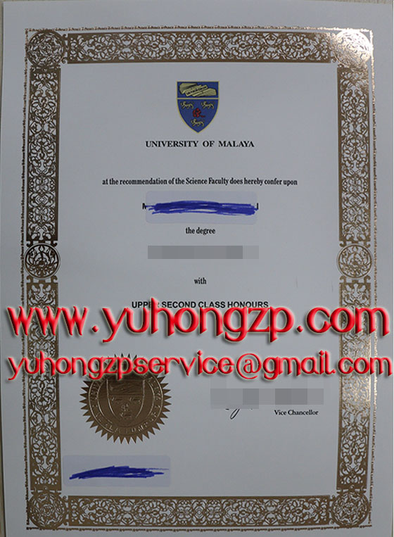 University of Malaya degree