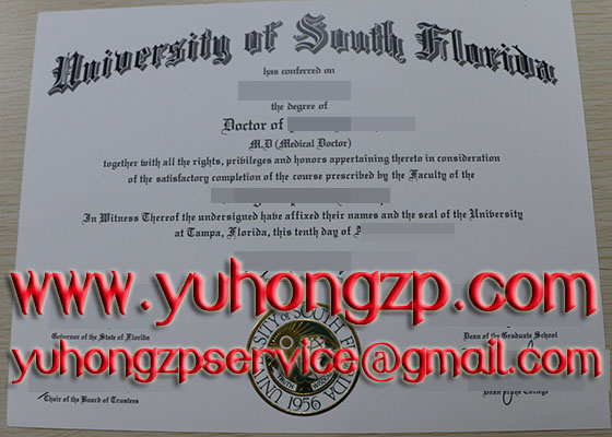 University of south Florida degree