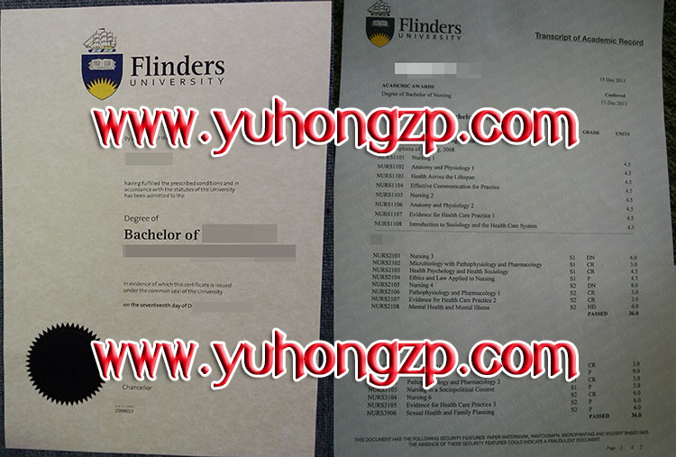 Flinders University degree and transcript