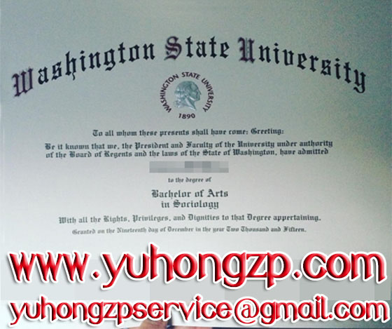 Washington State University degree 