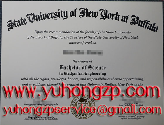 State University of New York at Buffalo degree