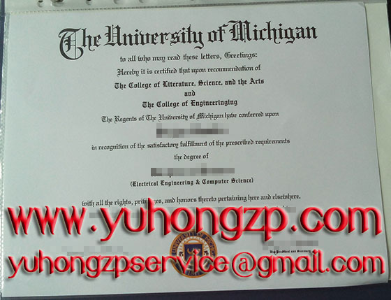 University of Michigan degree