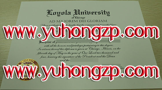 University of Chicago degree