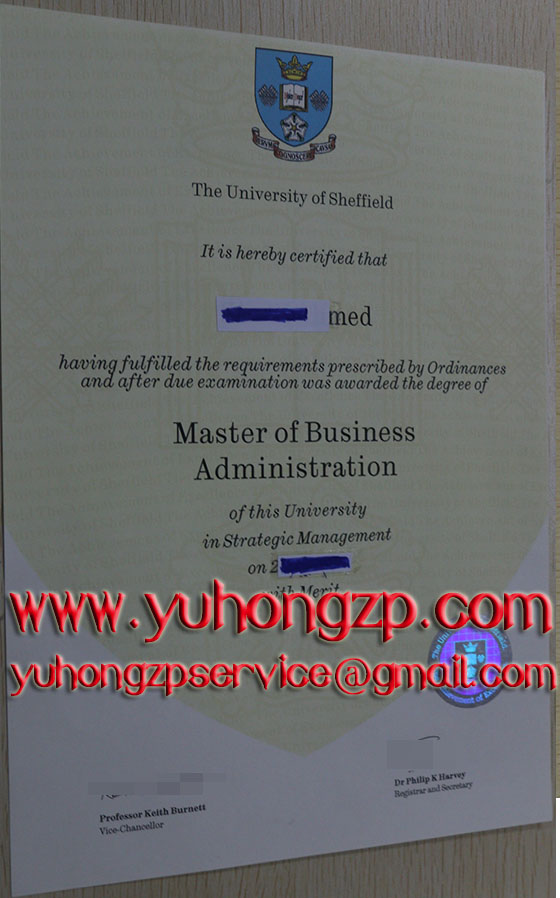 University of Sheffield degree