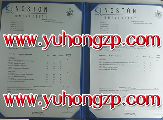 Kingston University transcript