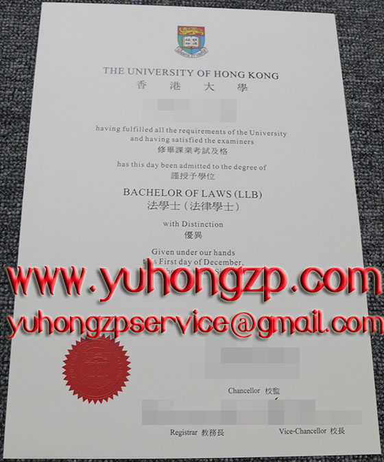 University of Hong Kong degree