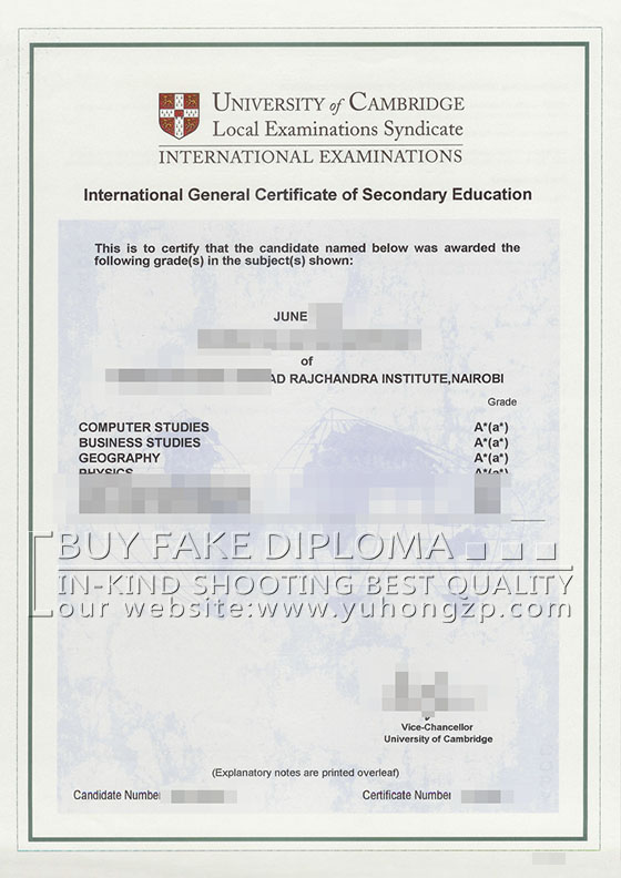 IGCSE certificate, CIE degree