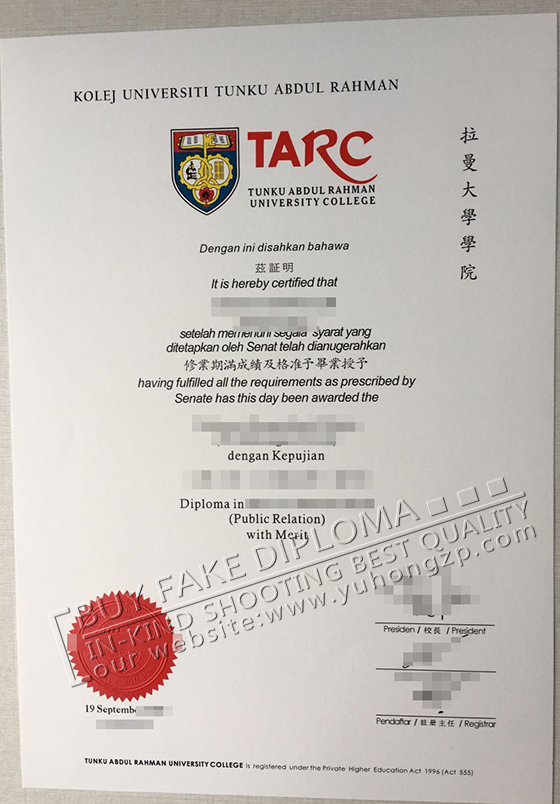 TARC fake diploma