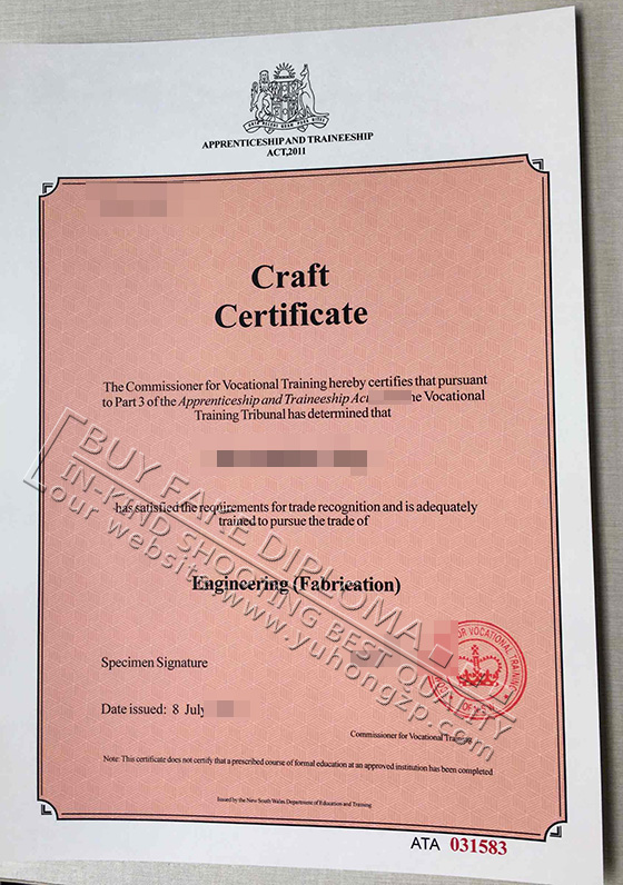 Apprenticeship and Traineeship Craft certificate