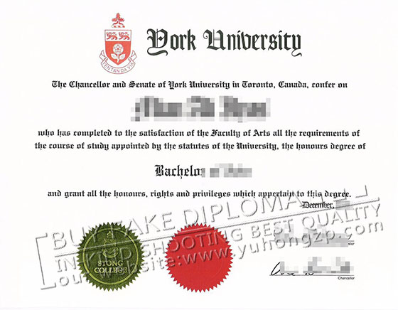 York University fake diploma