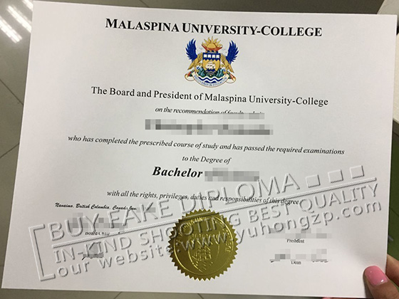 phony Malaysia University College diploma