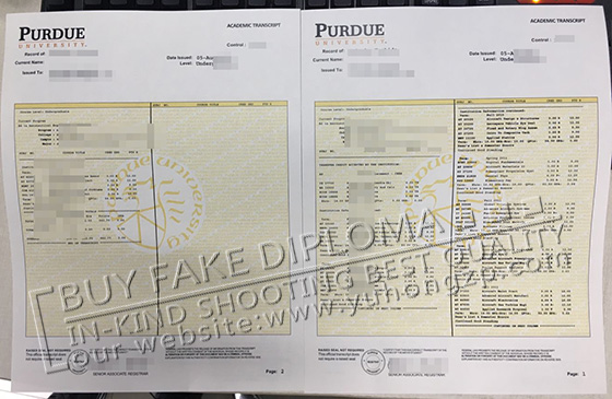 Purdue University fake transcript