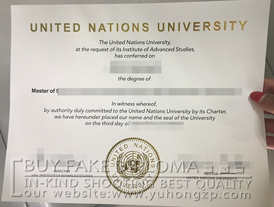 United Nations University fake diploma