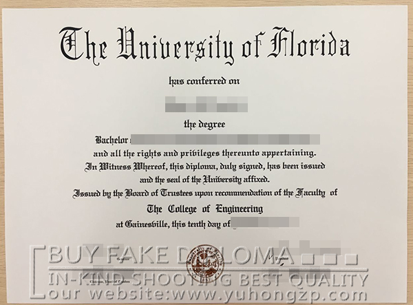 Florida fake certificate