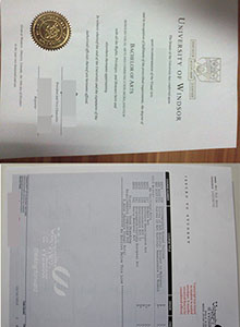 University of Windsor degree, buy fake diploma and transcript of University of Windsor