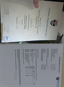 NewCastle University degree, buy fake diploma and transcript in Mackay