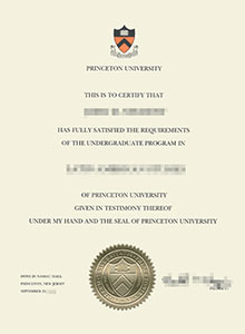 University of Princeton degree, buy fake diploma and transcript in Princeton University