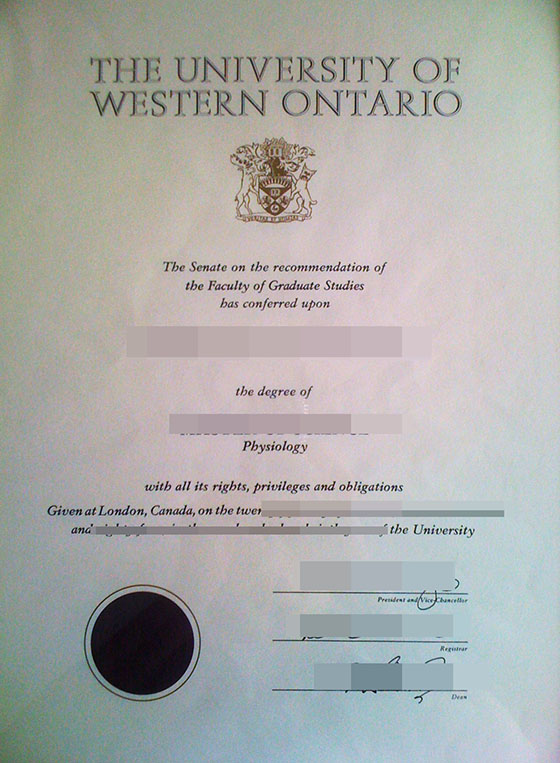 University of Western Ontario degree, buy UWO diploma and transcript online