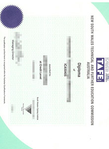 TAFE certificate, fake Technical And Further Education certificate