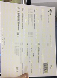 Counterfeit University of Waterloo academic record, buy UW transcript