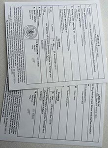 Where can I get Apostille certificate?