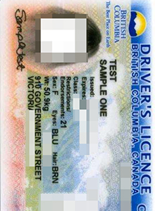 fake drivers licence of british columbia,canada, buy fake diploma and transcript online