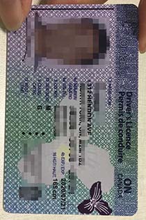 Ontario Driving License replica, buy ON Canada driving license online