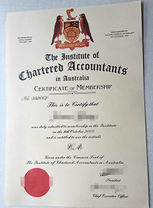 Institute Chartered Accountants in Australia, buy ICAA certificate