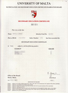 University of Malta degree, buy fake University of Malta diploma and transcript online