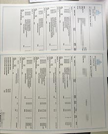 SEGI university academic transcript, buy SEGI grade sheet