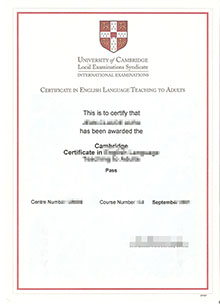 Certificate in English Language Teaching to Adults, buy CELTA certificate