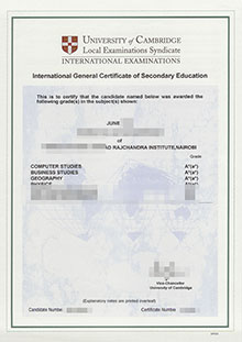 International General Certificate of Secondary Education certificate, buy IGCSE degree online