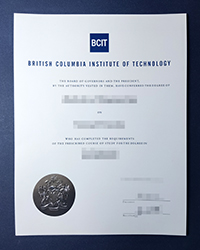 Can I buy a fake BCIT degree to replace my Lost degree?